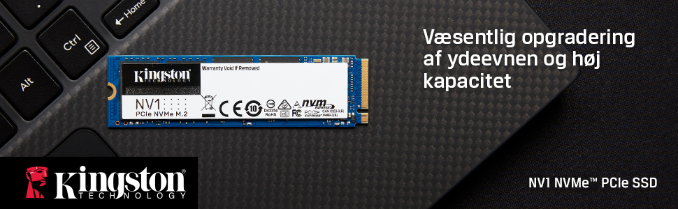 NV1