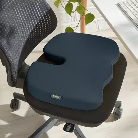 Seat cushion ESSELTE Leitz Ergo Cosy Grey Photo 2