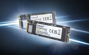 Intenso MI500 1 TB M.2 NVMe PCIe 4.0 Internal Solid State Drive with 5300 MB/s Read Speed