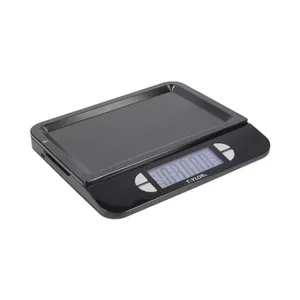 Digital Kitchen Scales Taylor GB40TYPSCALE5USB — rechargeable, stainless steel platform, capacity 5 kg / 11 lb, measures ml & fl oz
