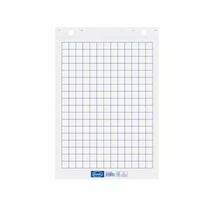 Papīra bloks Forofis 600 x 850 mm, 50 lapas, rūtiņā