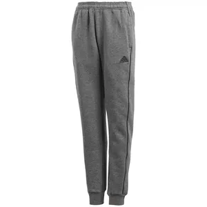 Bērnu bikses adidas Core 18 Sweat JUNIOR pelēkas CV3957