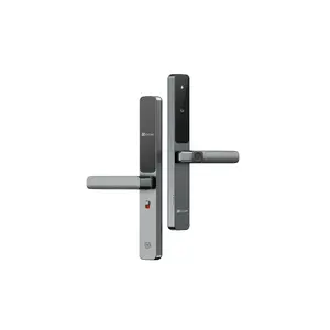 EZVIZ Smart Door Handle CS-DL06 (WBCP) with Built-in Accumulator and 36-Month Warranty