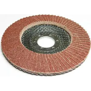 Flap Disc Silver 125 mm P100 model 10055 for metal grinding, brand Silver