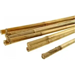 Bamboo Pole BIG TB150 — diameter 16/18 mm, length 1500 mm, single piece