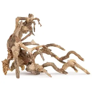 Norimpex Tonće drzewo Bonsai nr 64 50x40 sienas mākslas izdruka