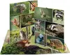 Ring binder TEKA 573574 for A4 Photo 2