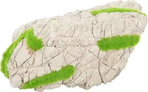 Aquarium Supplies