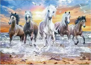 Dimanta glezna Norimpex Mozaika 5D — Zirgi, 40x30 cm