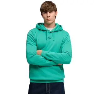 Vīriešu džemperis Puma ESS No.1 Logo Centered Hoodie zaļš, izmērs M