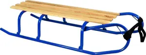 Victoria Sport Metāla Ragavas Zilas