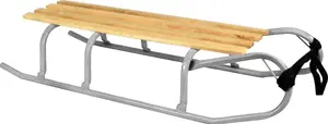 Victoria Sport Metāla ragavas sudraba