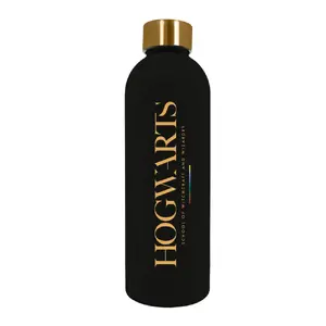 Kids Euroswan Stainless Steel Soft Touch Water Bottle 800ml Harry Potter