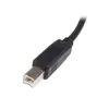 USB 2.0 A к B кабель StarTech.com USB2HAB2M Photo 3