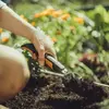 Садовая лопата Fiskars Xact Photo 2