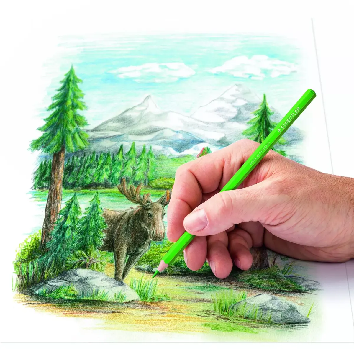 Цветные карандаши Staedtler 146C Multicolour Photo 4