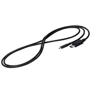DisplayPort kabelis EIZO CP200-BK 2m USB C Melns