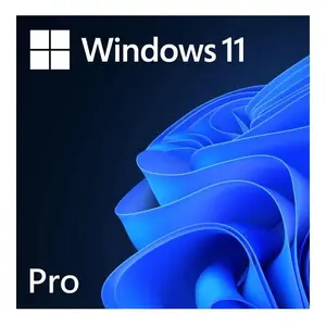 Microsoft Windows 11 Pro 1 license(s) ESD