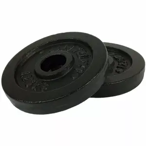 Čuguna svaru plāksnes Tunturi 1,25 kg ×2, iekšējais diametrs 30 mm, pāris