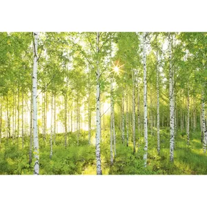 Wall mural KOMAR Trenddeko KO8-519 — paper mural, multicolour image, 3680×2540 mm